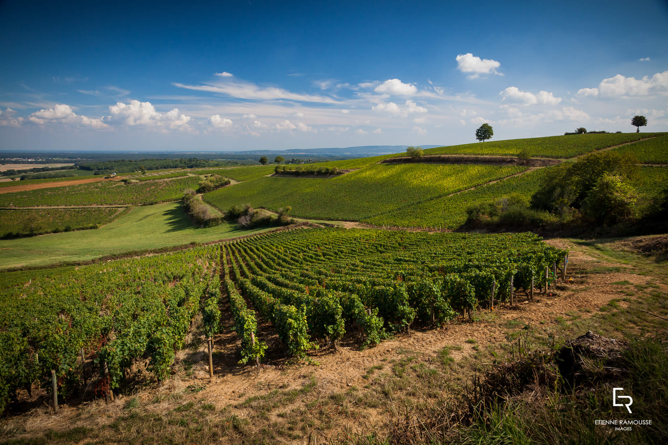 Domaine Feuillat-Juillot