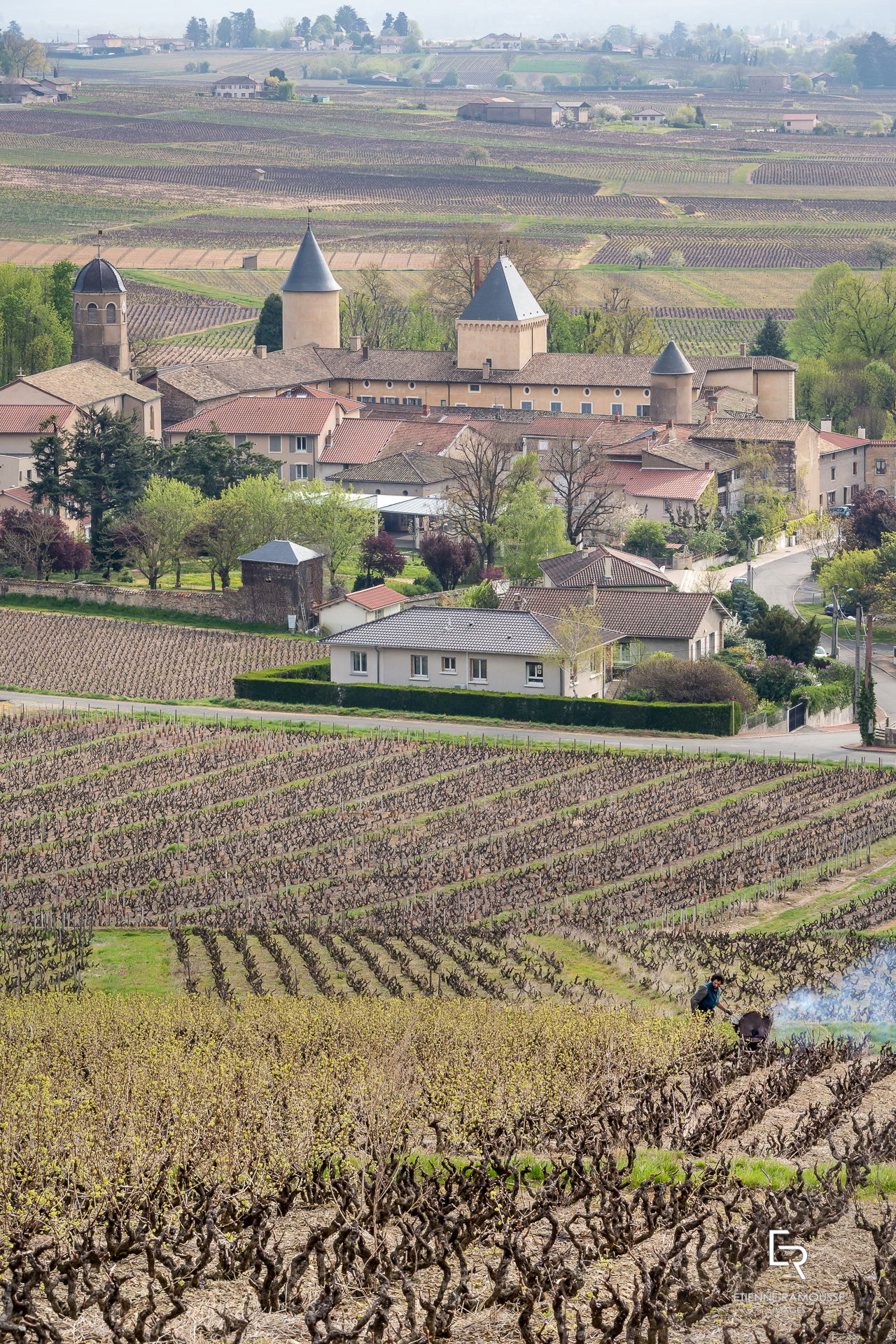 Etienne Ramousse Images - La Viticulture en France et ailleurs