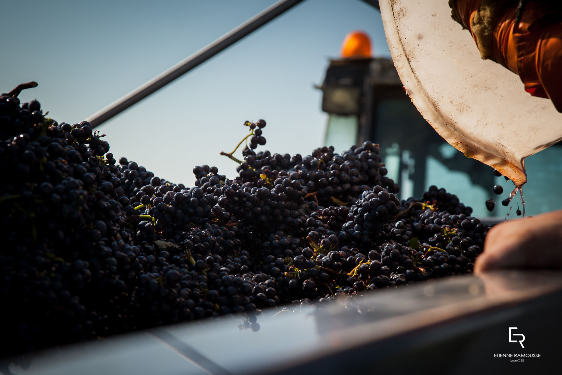 Etienne Ramousse Images - La Viticulture en France et ailleurs