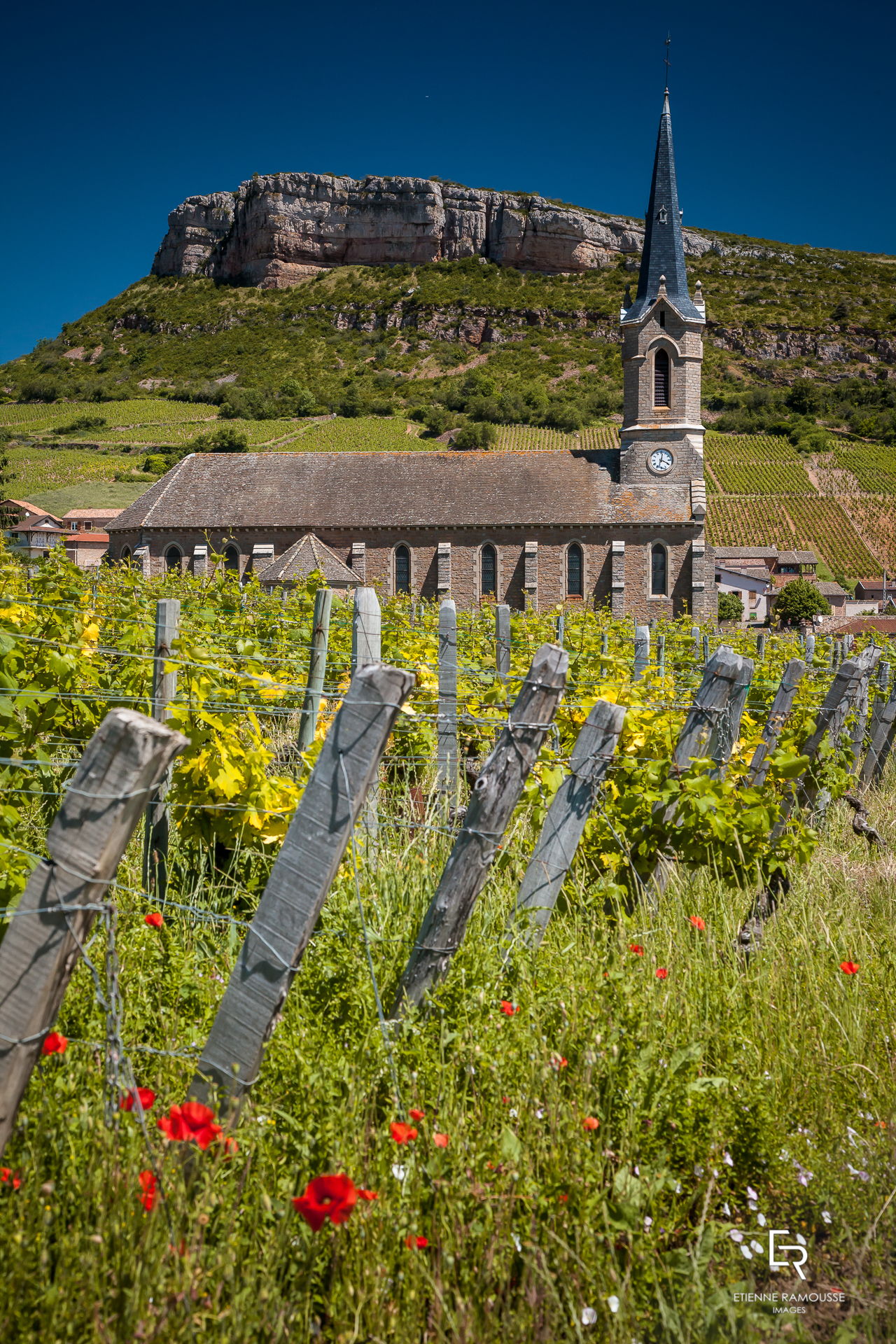 Etienne Ramousse Images - La Viticulture en France et ailleurs