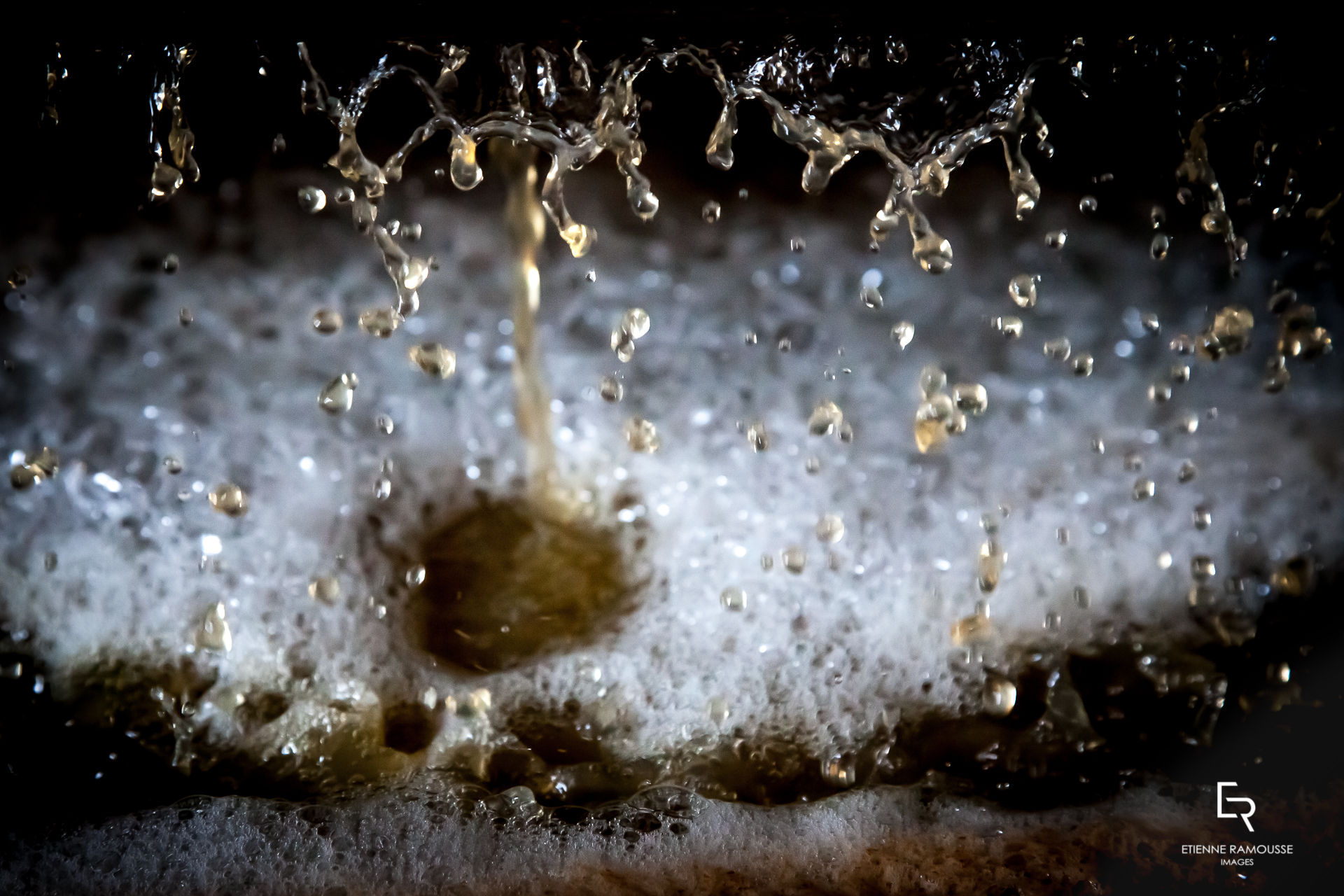 Etienne Ramousse Images - La Viticulture en France et ailleurs