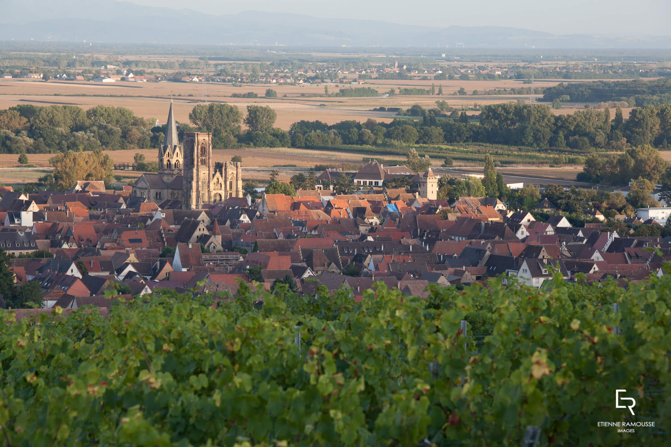 Domaine de l'École - Rouffach