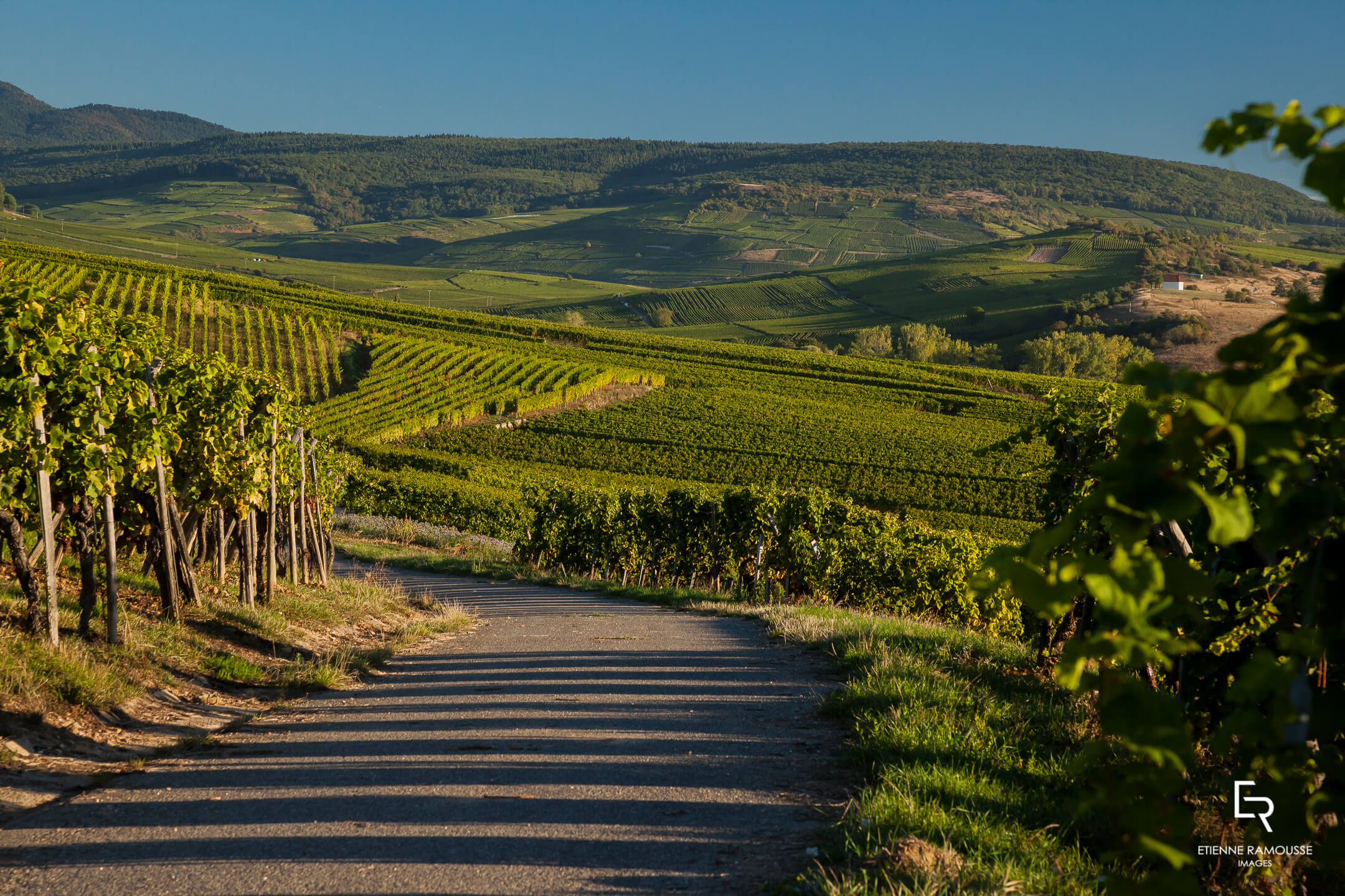 Domaine de l'École - Rouffach