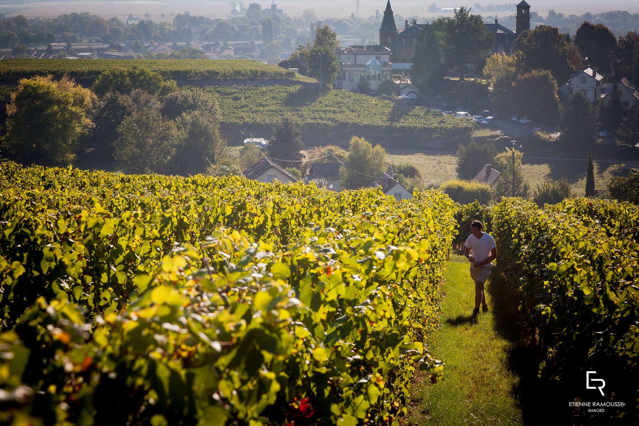 Domaine de l'École - Rouffach