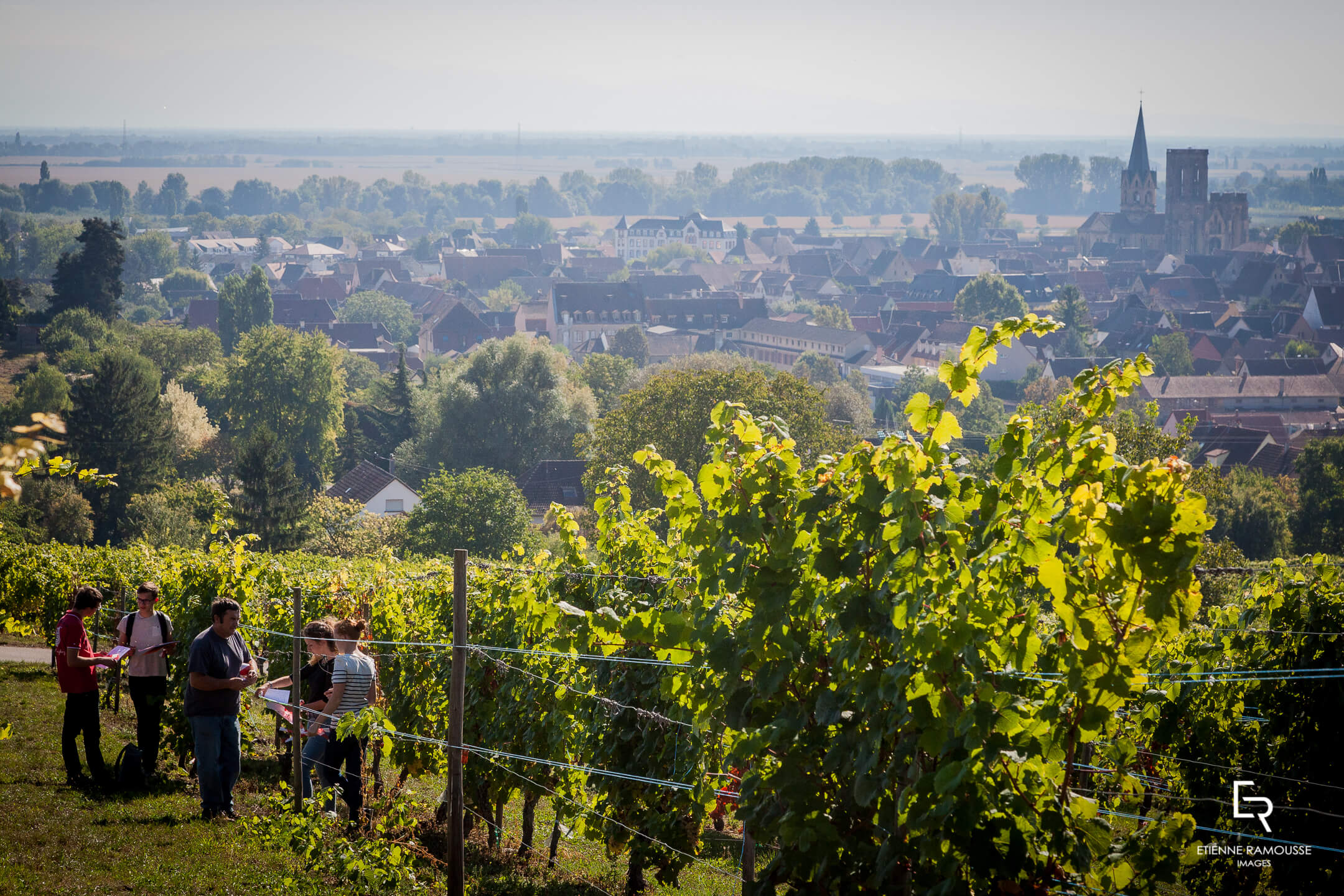 Domaine de l'École - Rouffach