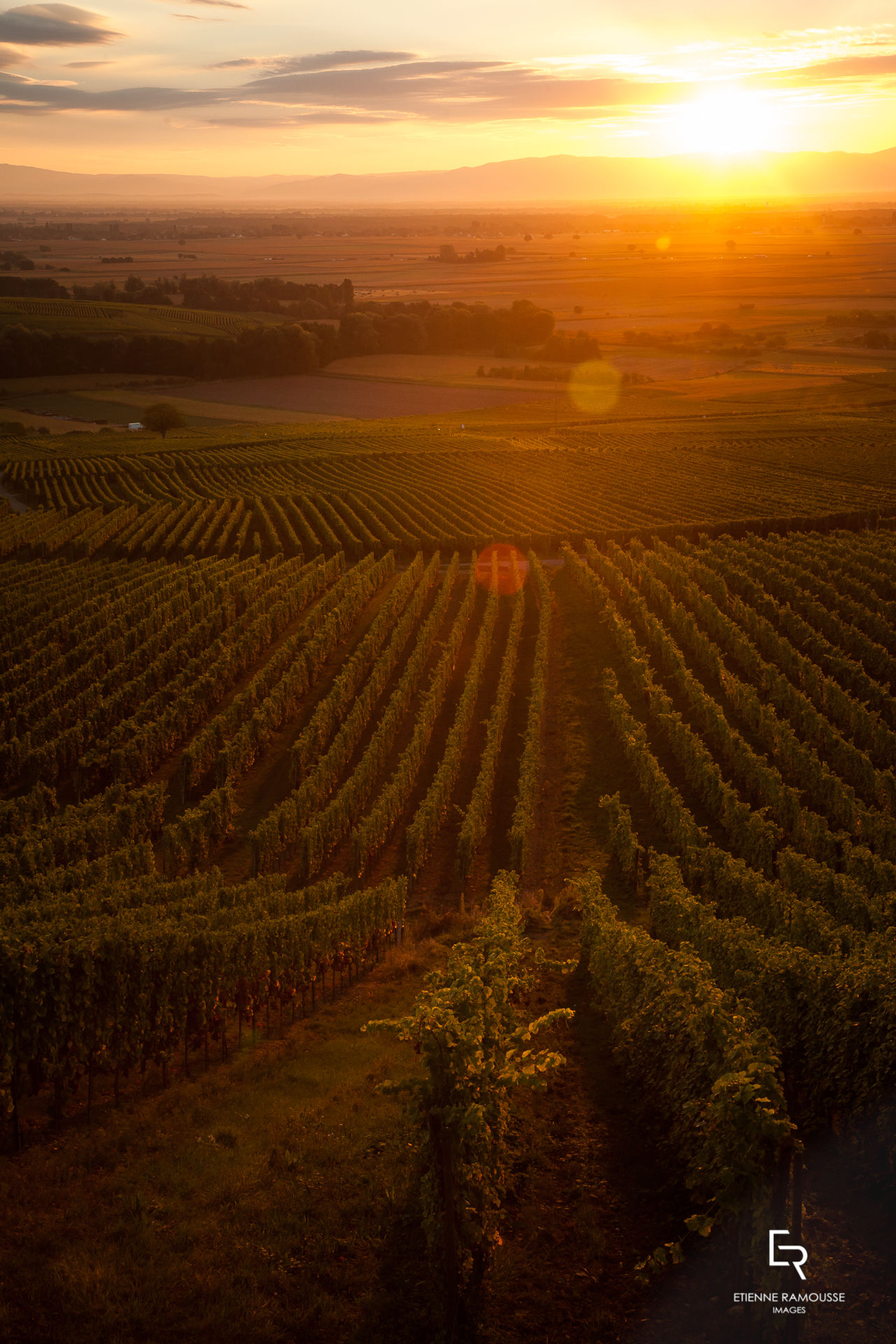 Etienne Ramousse Images - La Viticulture en France et ailleurs