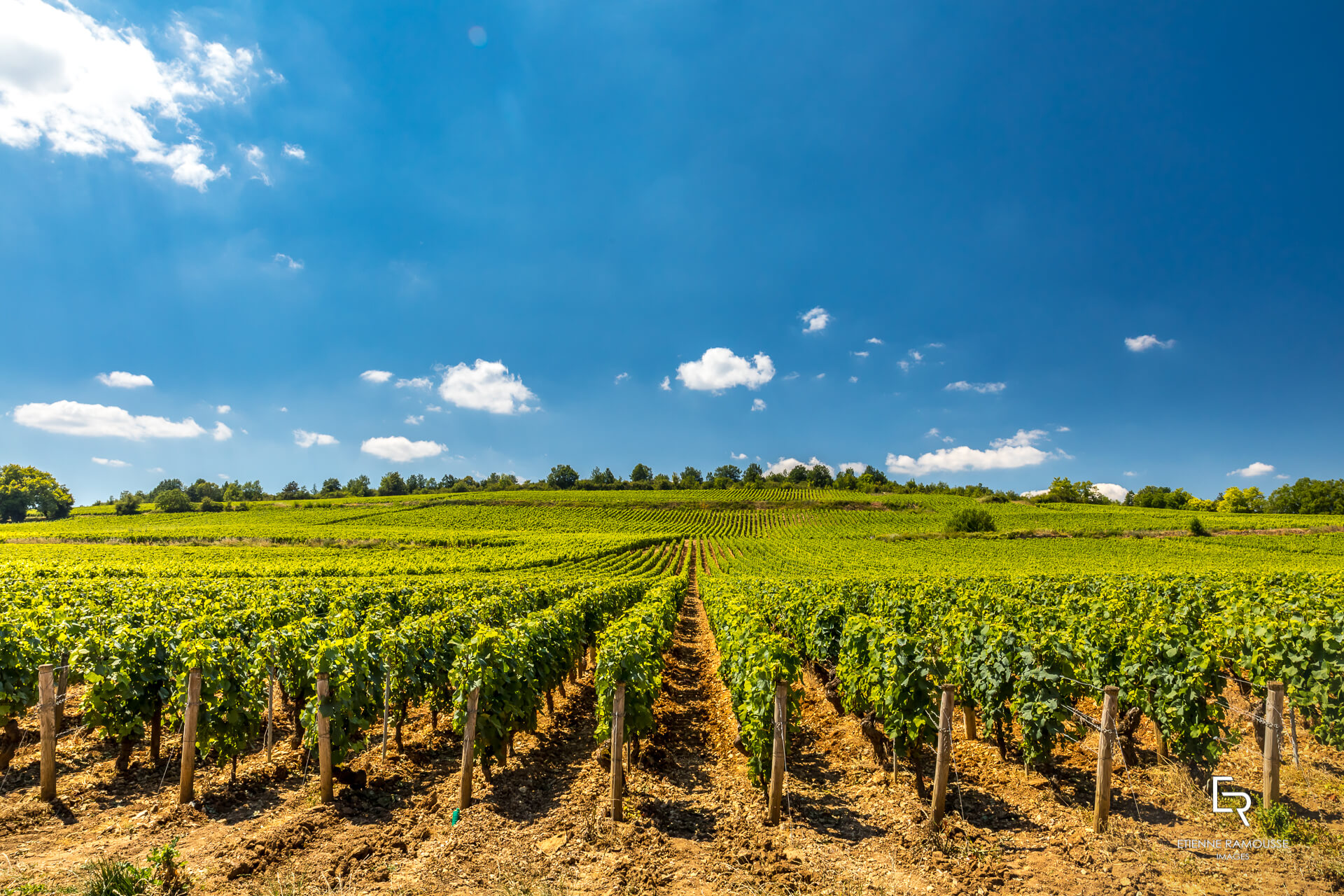 DOMAINE LAURENT MOUTON GIVRY