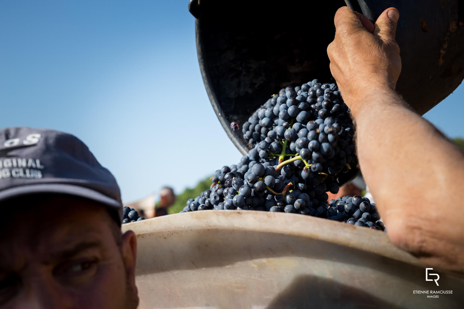 DOMAINE LAURENT MOUTON GIVRY