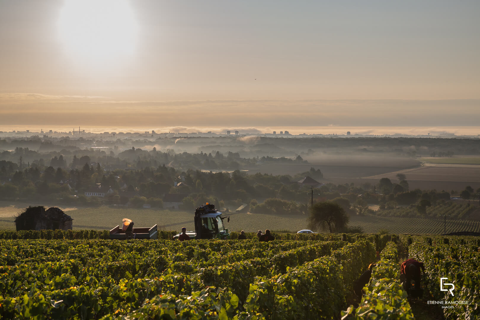 DOMAINE LAURENT MOUTON GIVRY