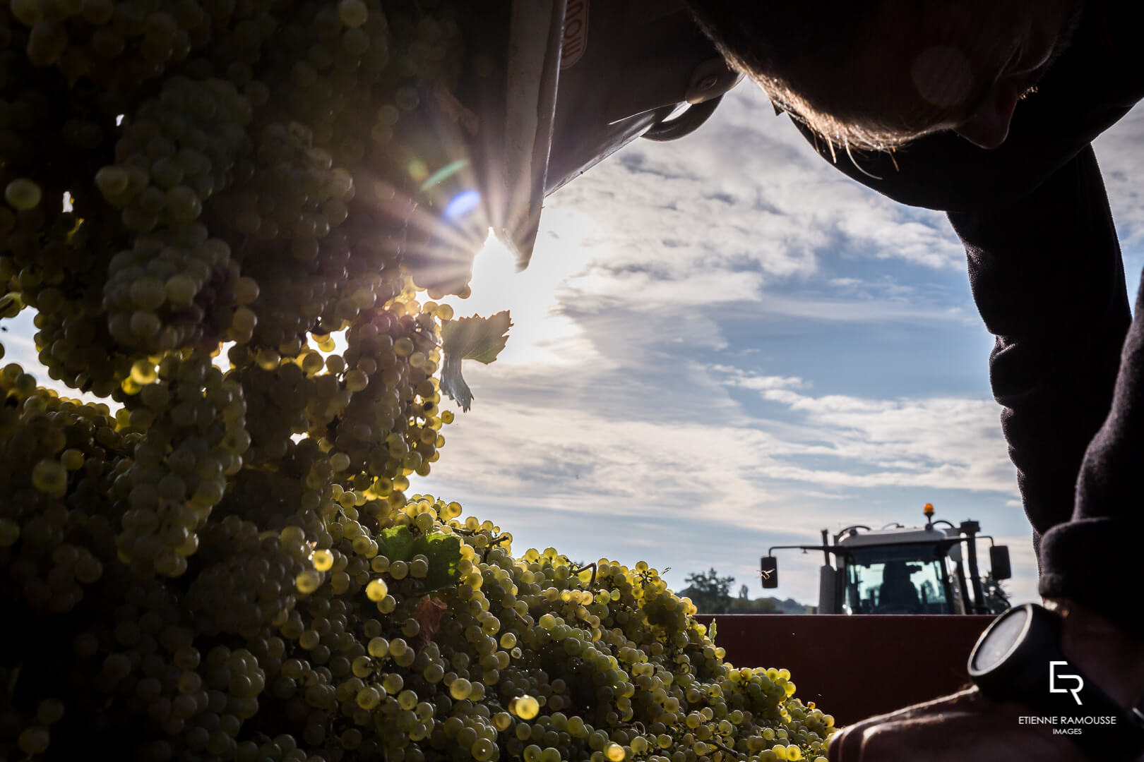 DOMAINE LAURENT MOUTON GIVRY