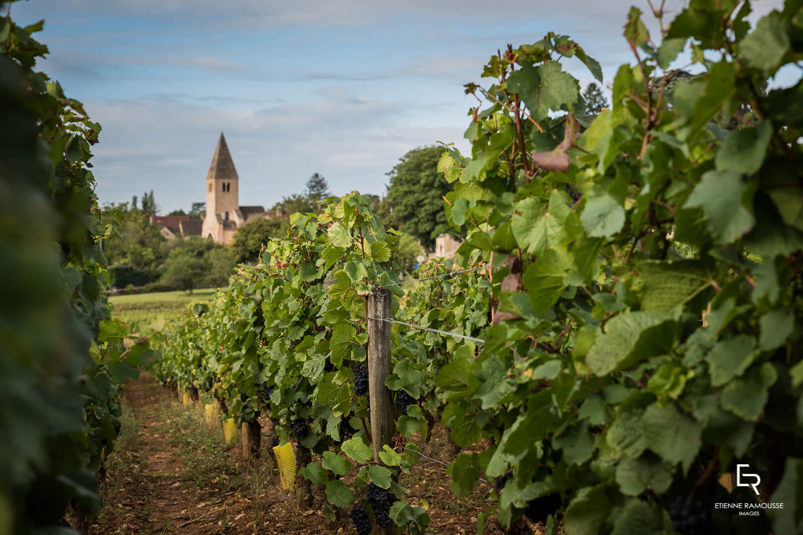 DOMAINE LAURENT MOUTON GIVRY