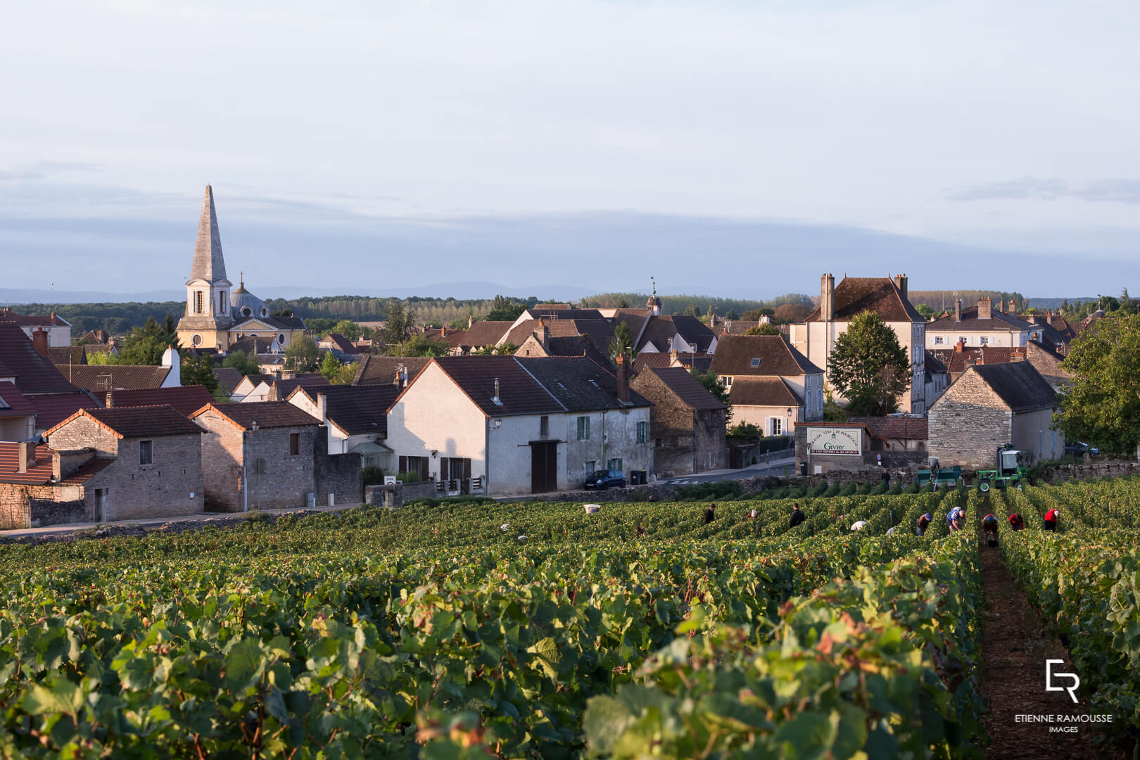 DOMAINE LAURENT MOUTON GIVRY